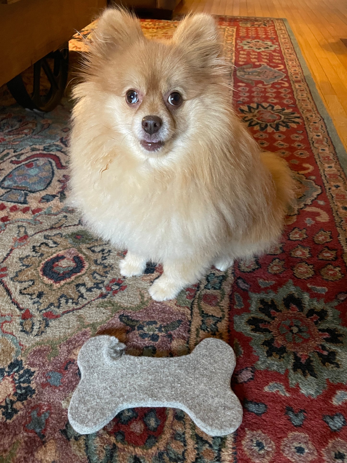 Dog Chews