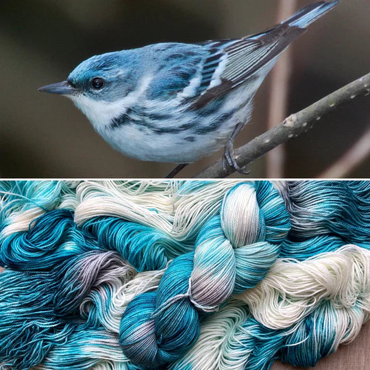Songbird Yarn & Fibres – Sock Yarn