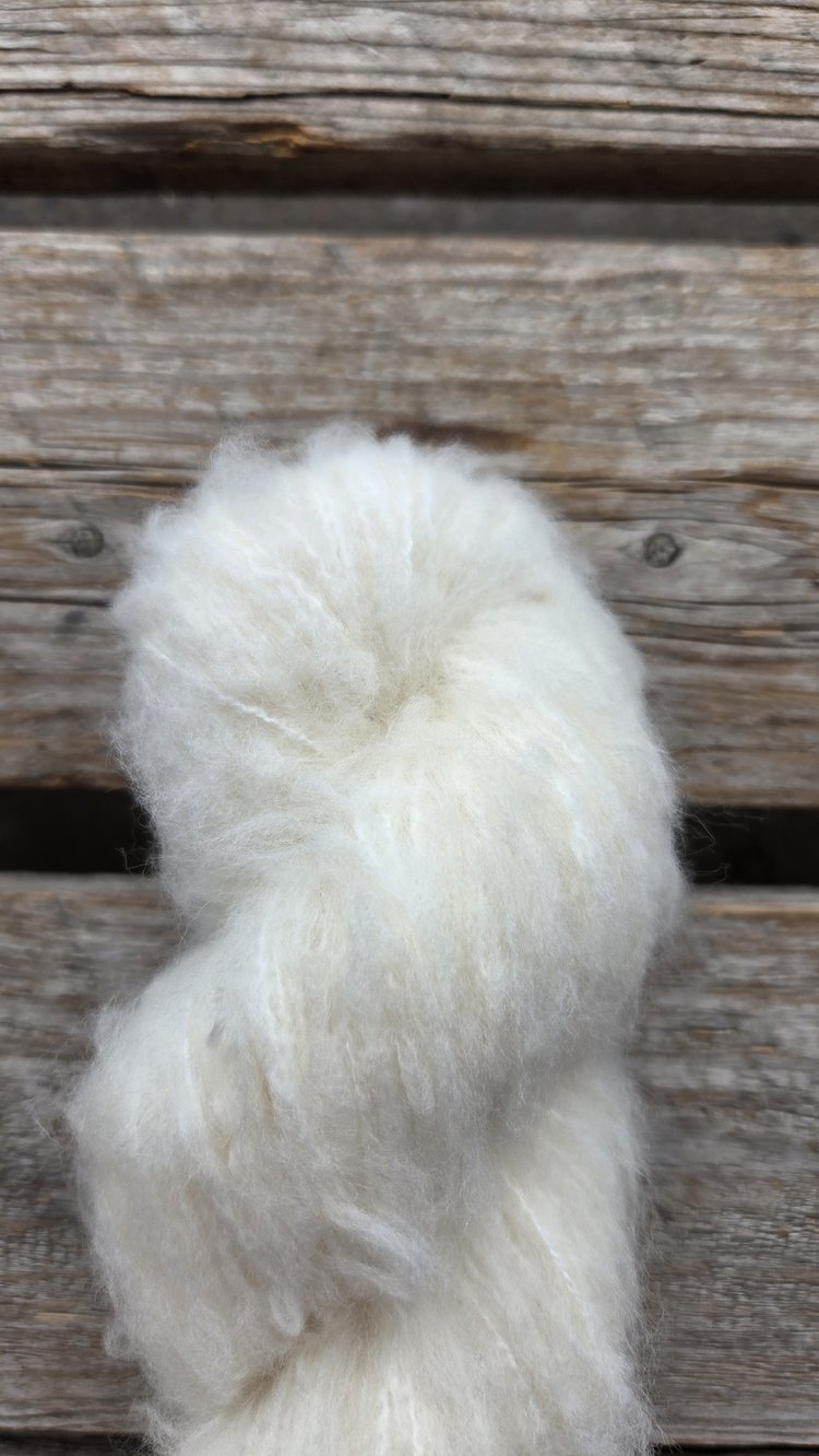 Koigu – Andra Brushed Merino