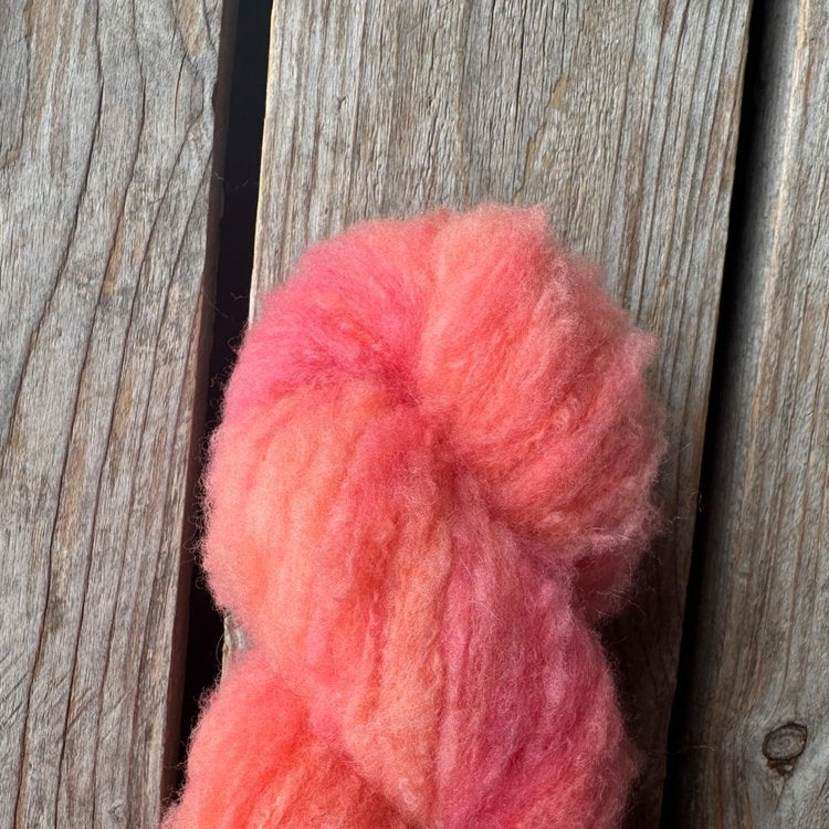 Koigu – Andra Brushed Merino