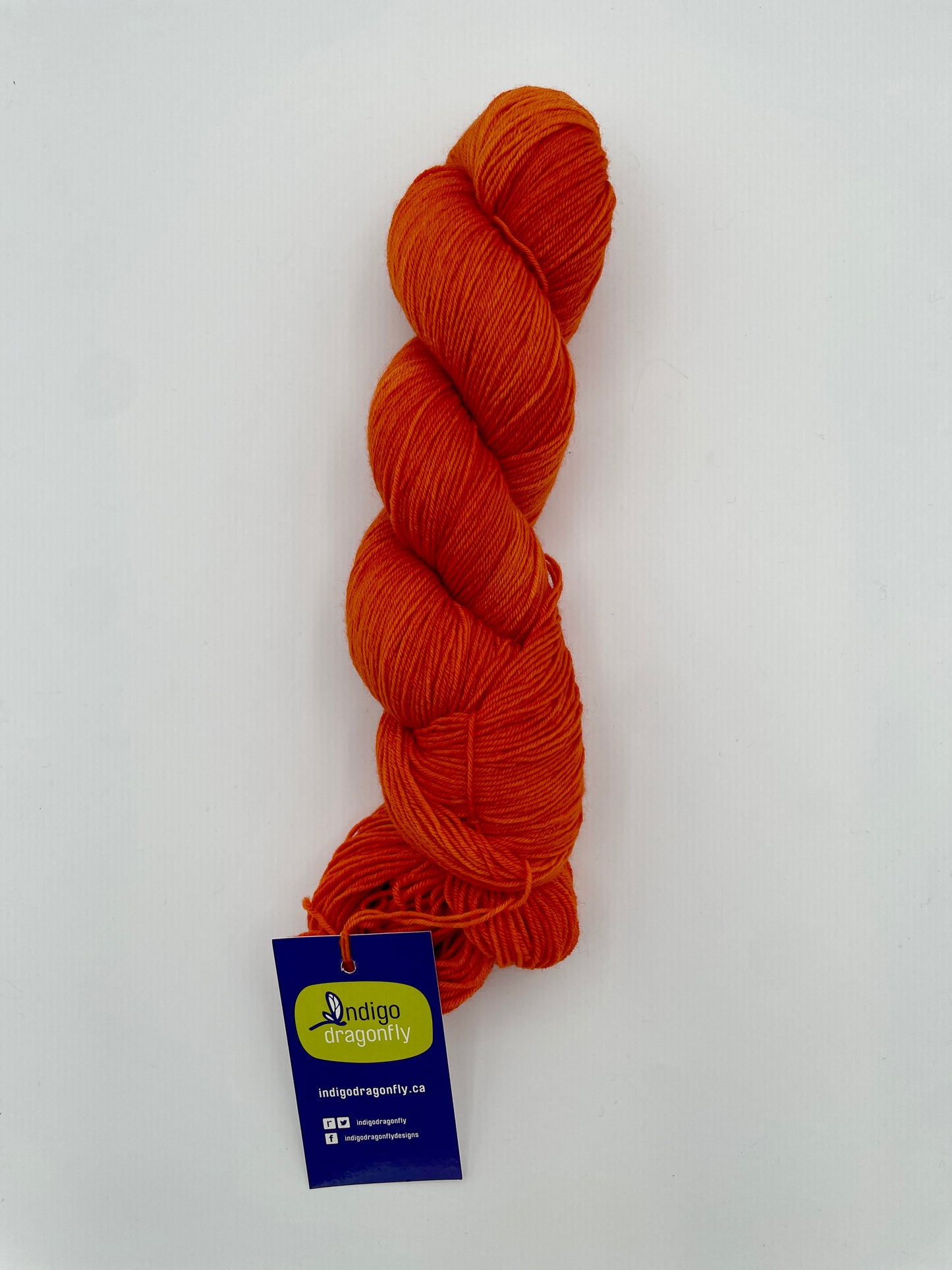 Indigo Dragonfly – Remora