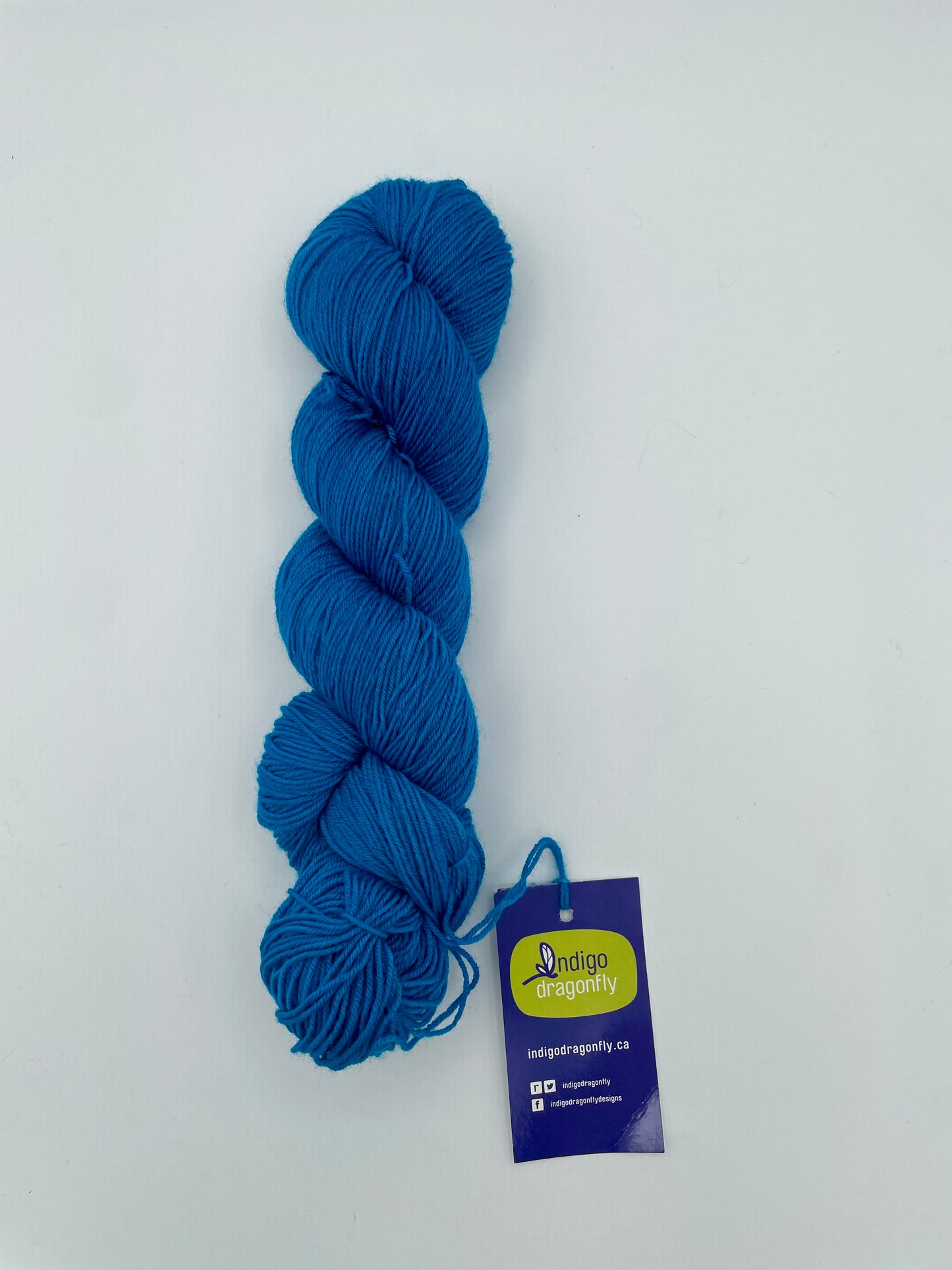 Indigo Dragonfly – Remora