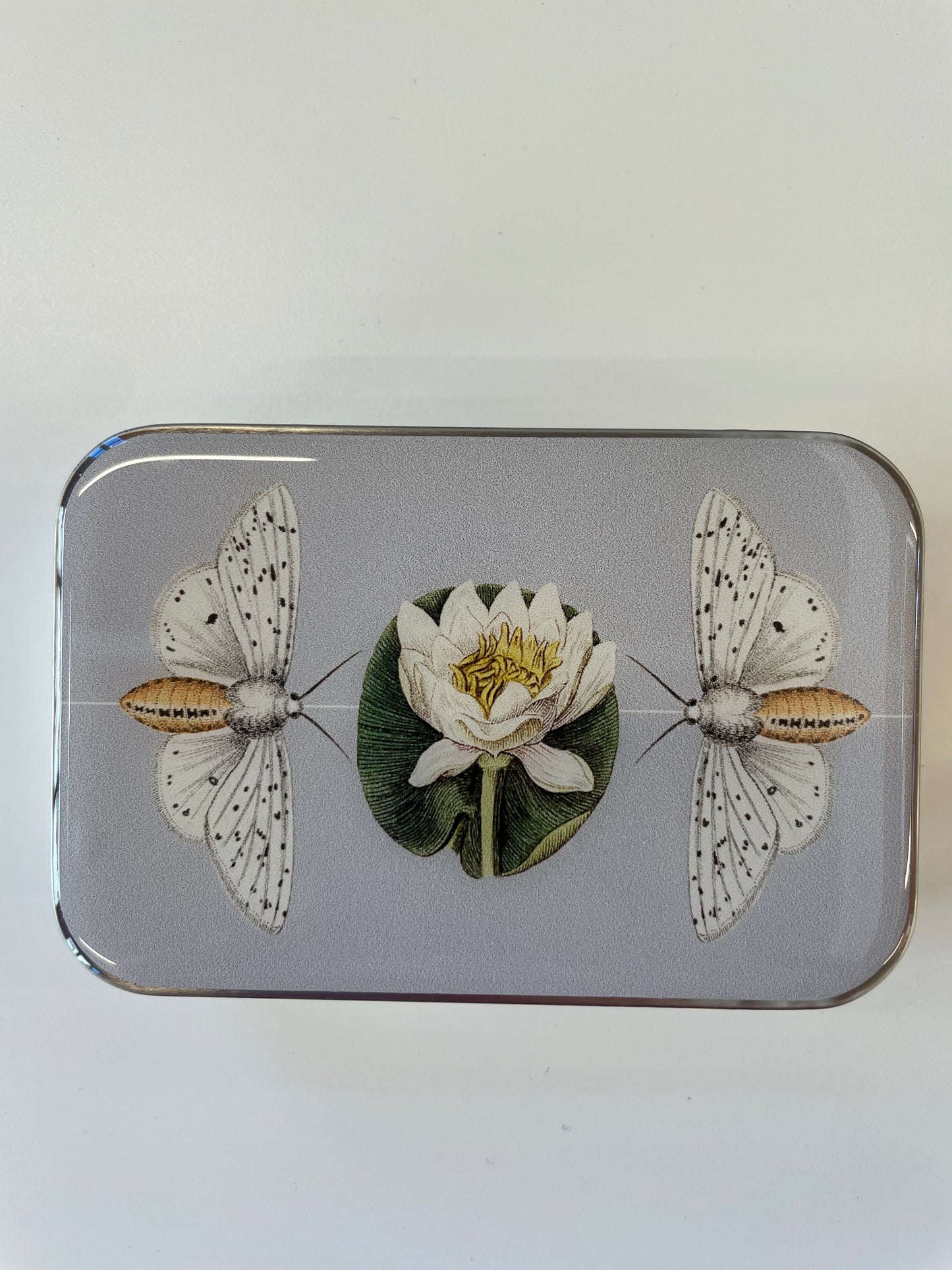 Firefly Notes Notions Tin, Large