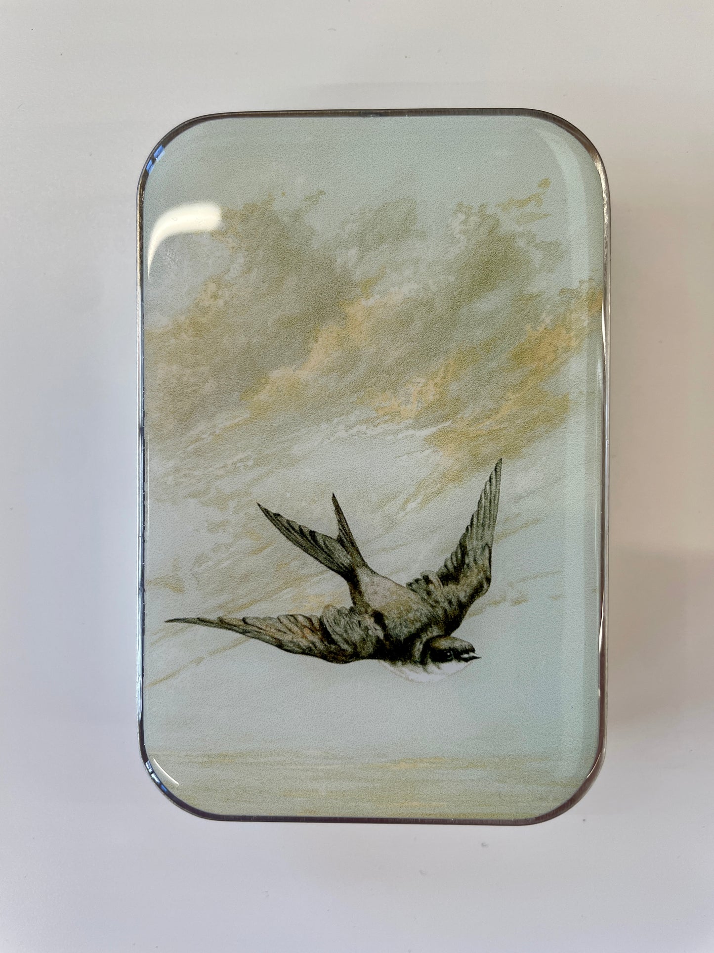 Firefly Notes Notions Tin, Large