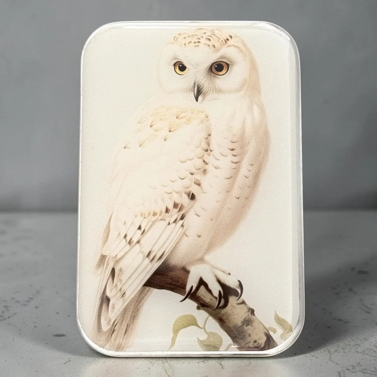 Firefly Notes Notions Tin, Large
