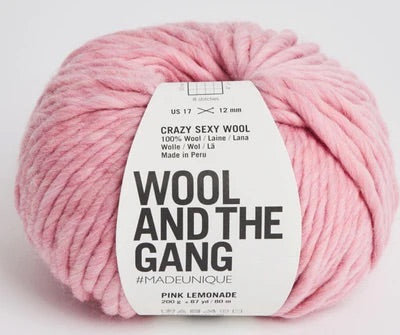 Wool and the Gang – Crazy Sexy Wool
