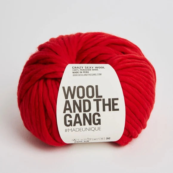 Wool and the Gang – Crazy Sexy Wool