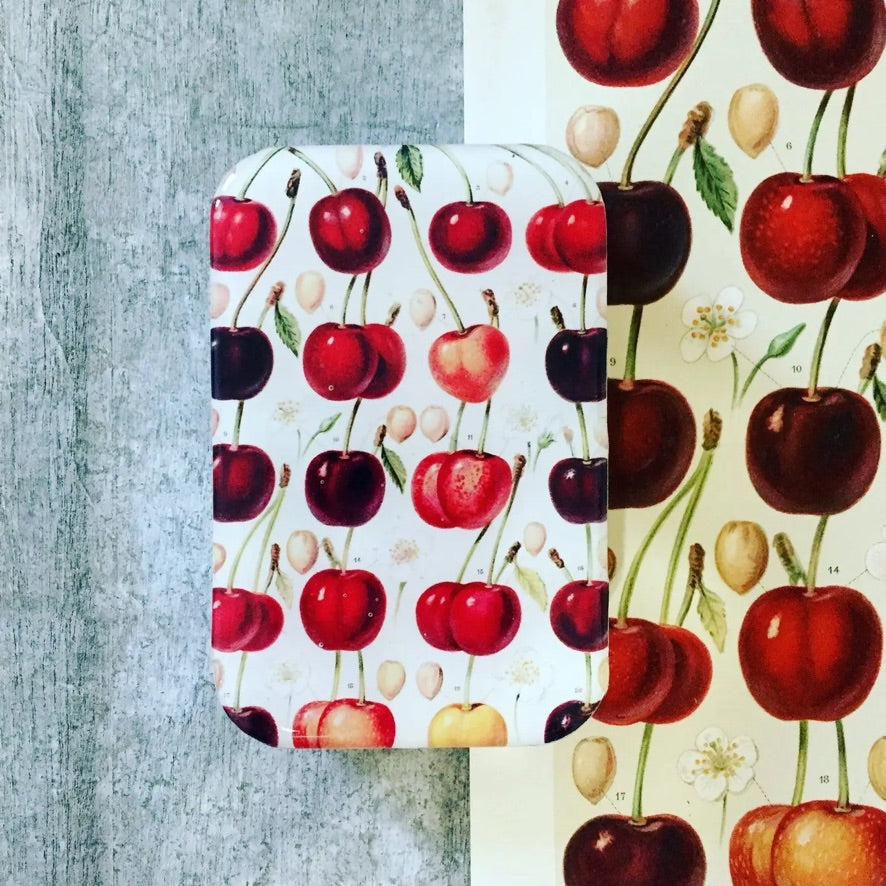 Firefly Notes Notions Tin, Large