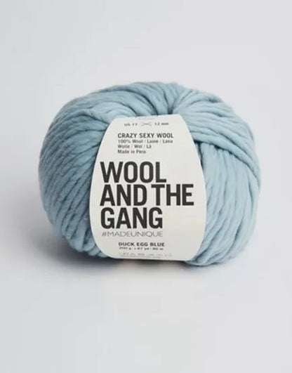 Wool and the Gang – Crazy Sexy Wool