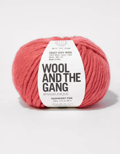 Wool and the Gang – Crazy Sexy Wool