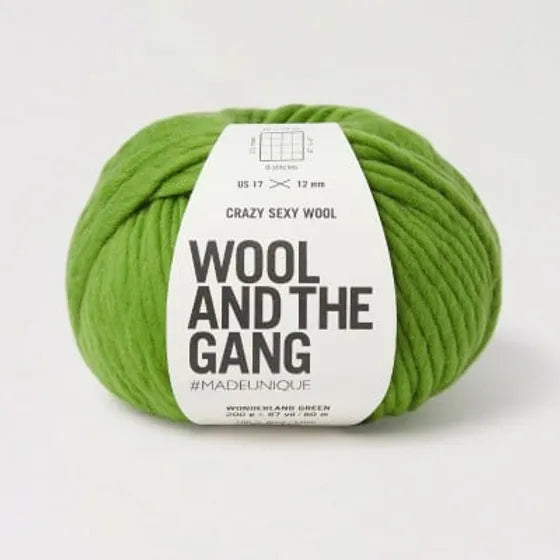 Wool and the Gang – Crazy Sexy Wool – Flying Squirrel