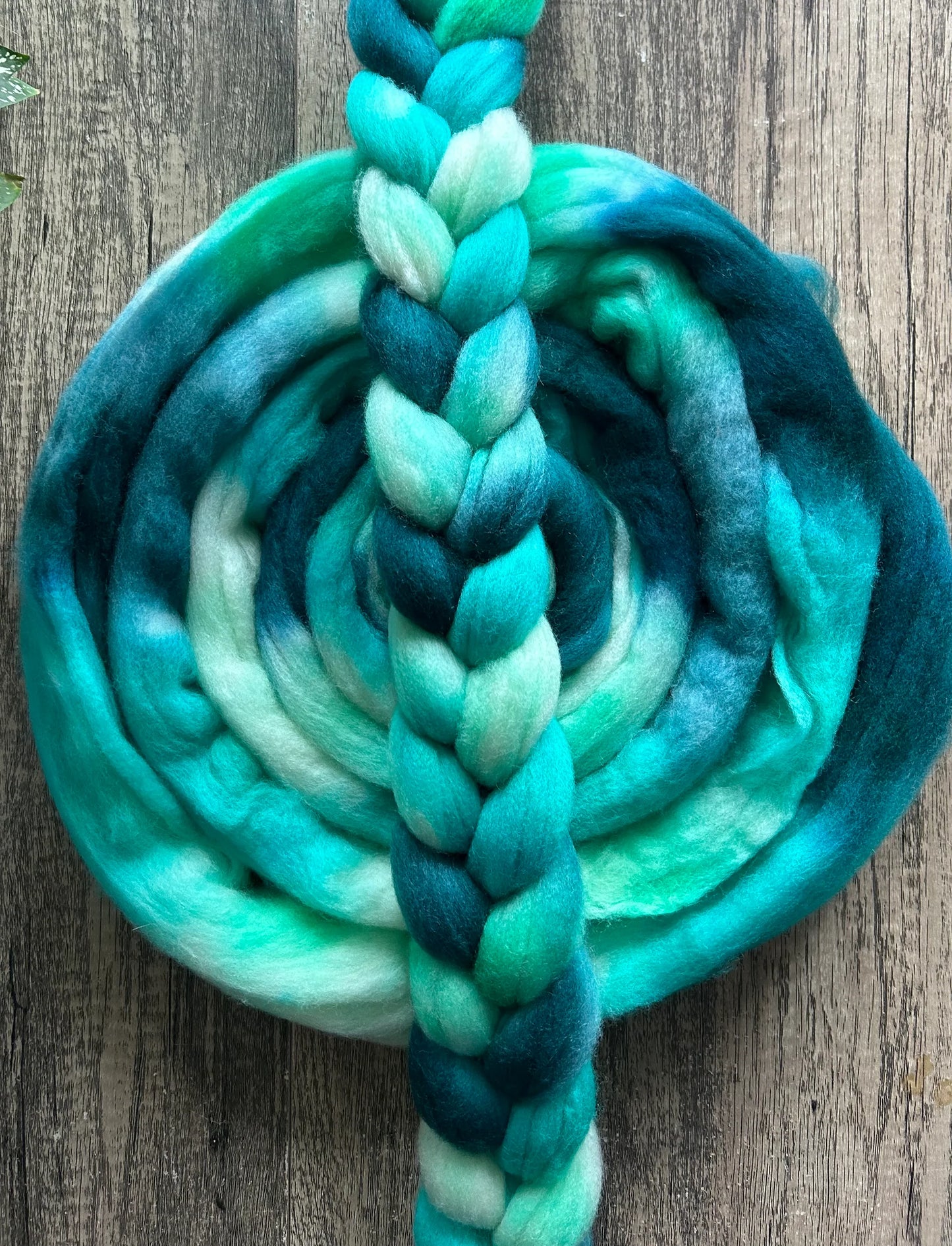 Bramble Ridge  – Hand Dyed Roving