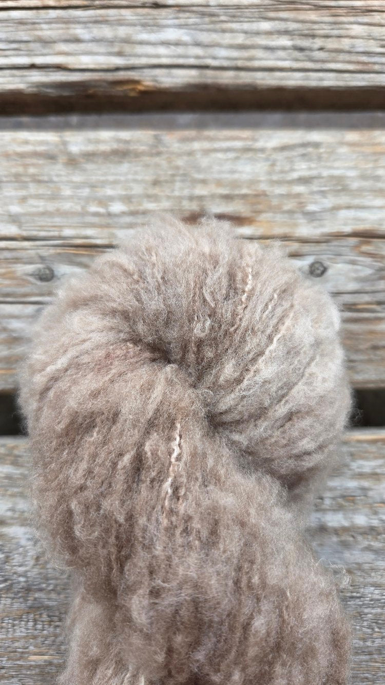 Koigu – Andra Brushed Merino