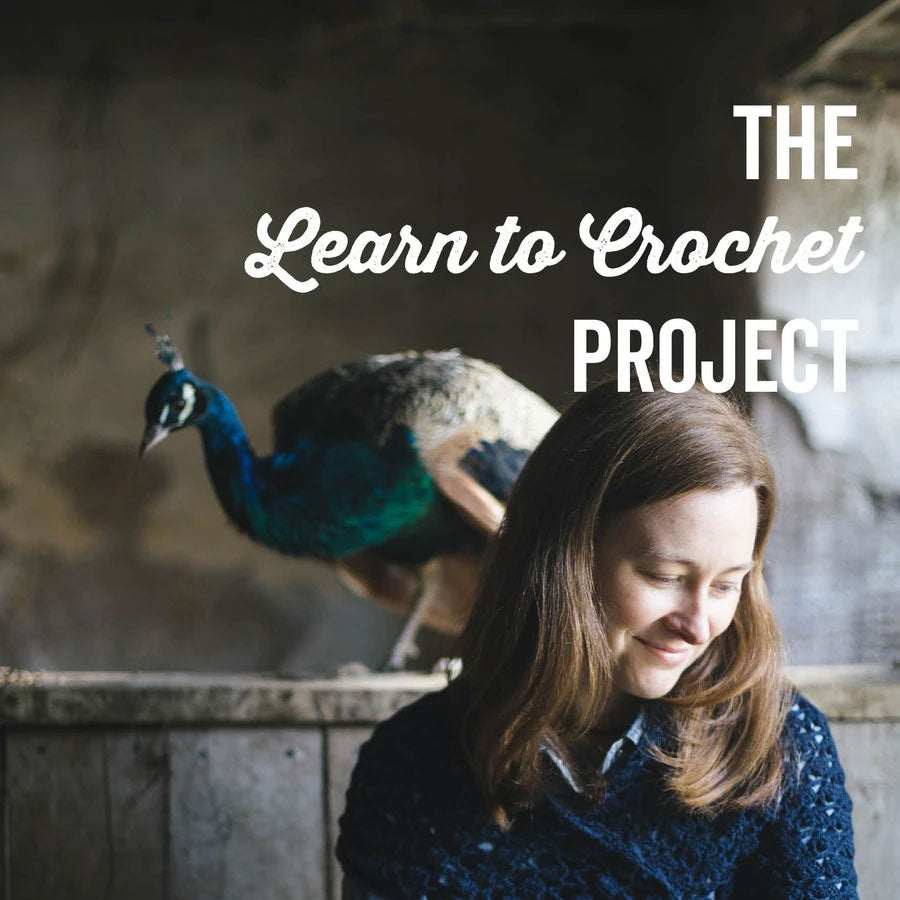 The Learn To Crochet Project