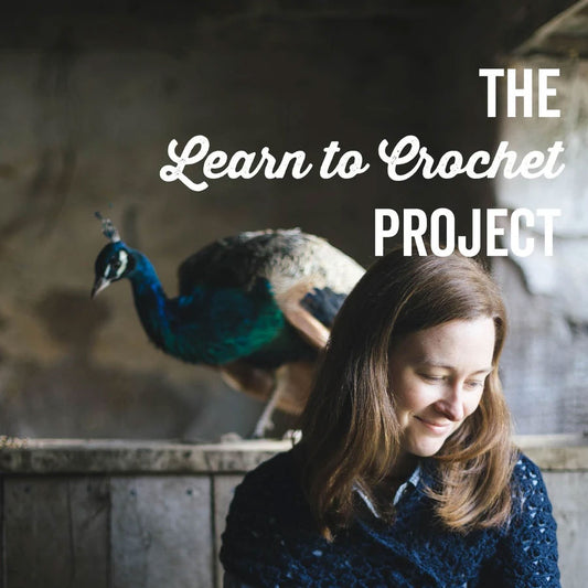 The Learn To Crochet Project