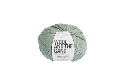 Wool and the Gang – Crazy Sexy Wool