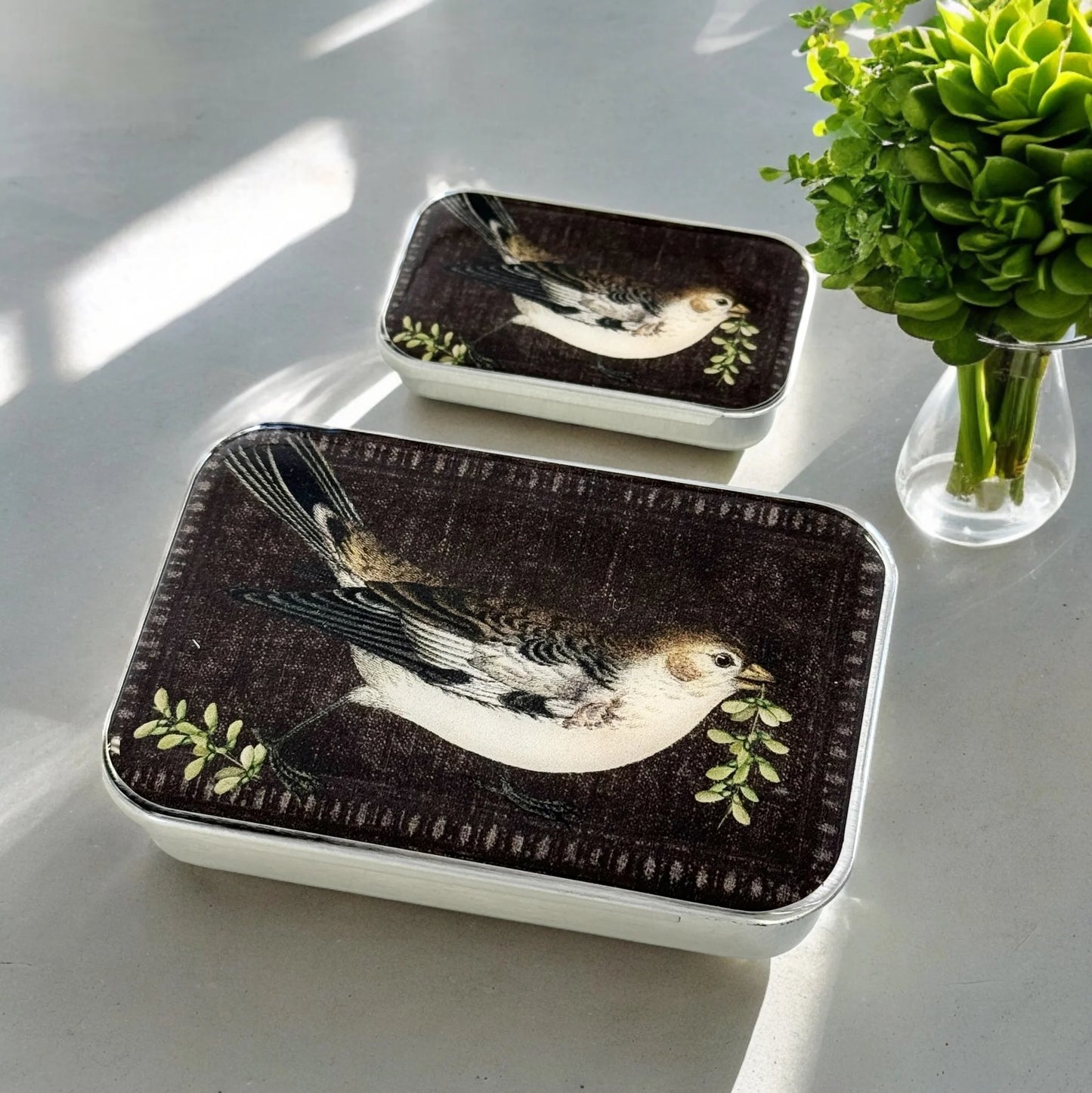 Firefly Notes Notions Tin, Large