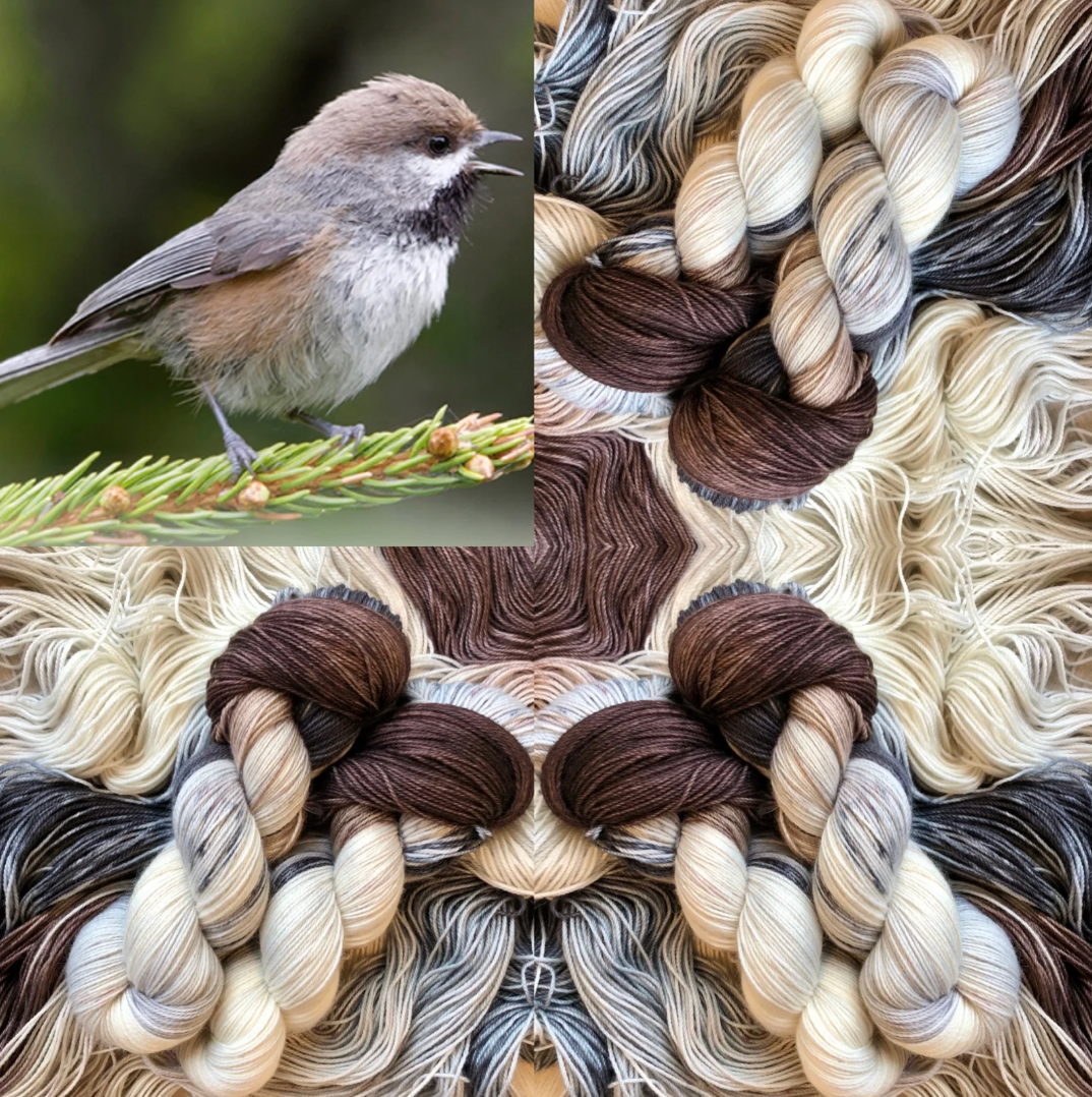 Songbird Yarn & Fibres – Sock Yarn