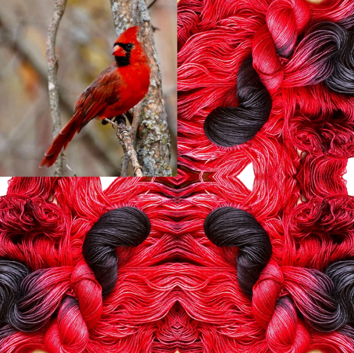 Songbird Yarn & Fibres – Sock Yarn