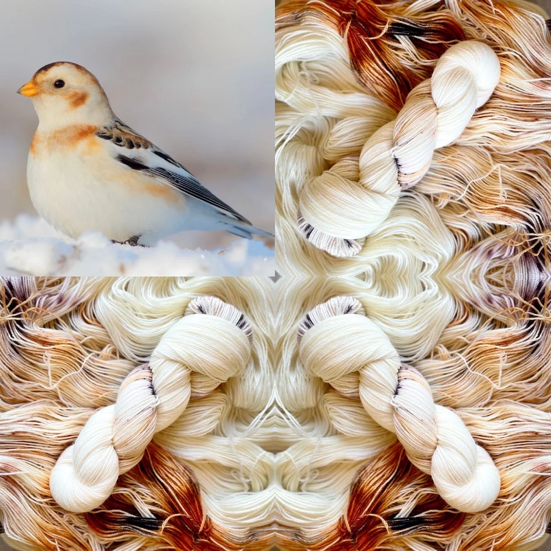 Songbird Yarn & Fibres – Sock Yarn