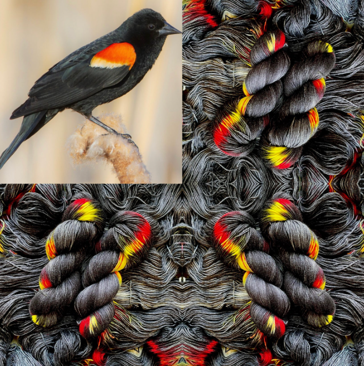 Songbird Yarn & Fibres – Sock Yarn