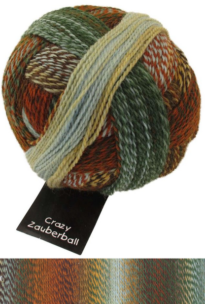 Schoppel Wolle - Zauberball Stärke 6