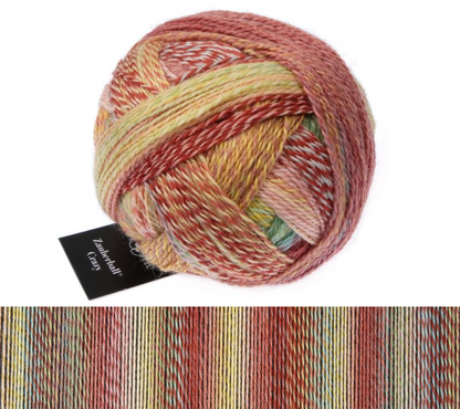 Schoppel Wolle - Zauberball Stärke 6