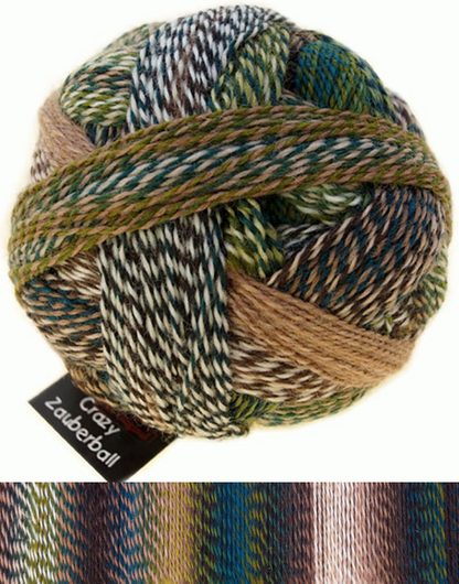 Schoppel Wolle - Zauberball Stärke 6