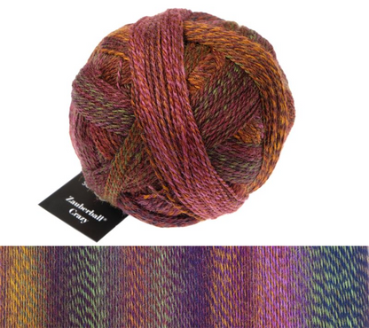 Schoppel Wolle - Zauberball Stärke 6